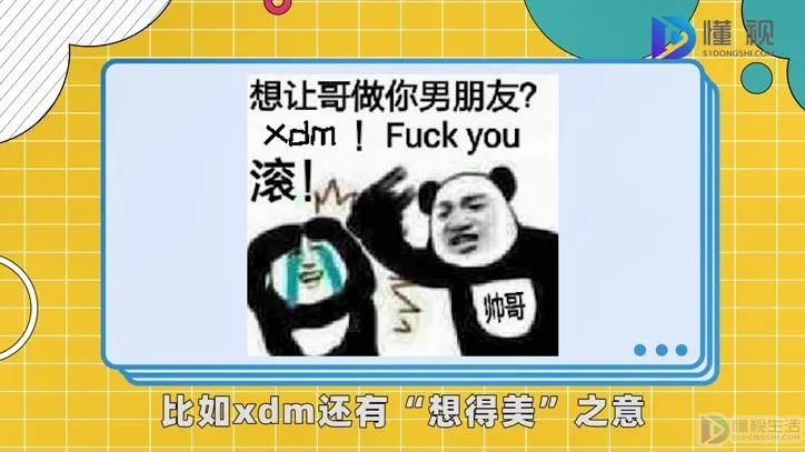 xxdm是什么意思
