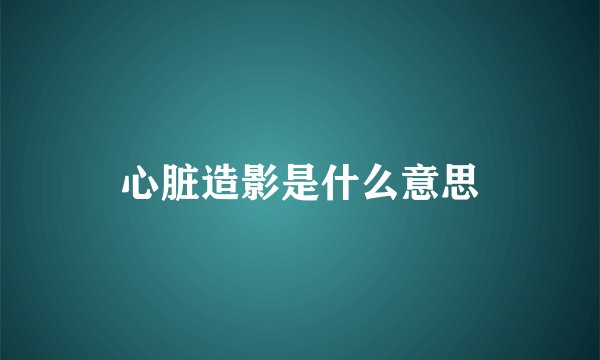 心脏造影是什么意思