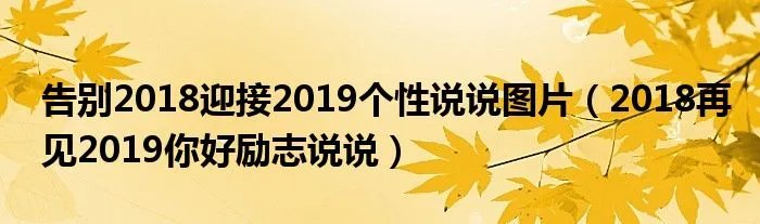 告别2018迎接2019个性说说图片（2018再见2019你好励志说说）
