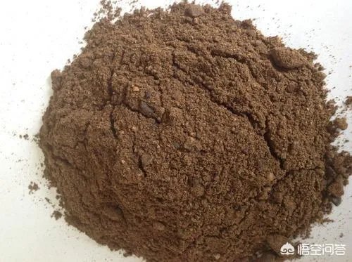 发酵棕榈粕到底有多好？如何使用？