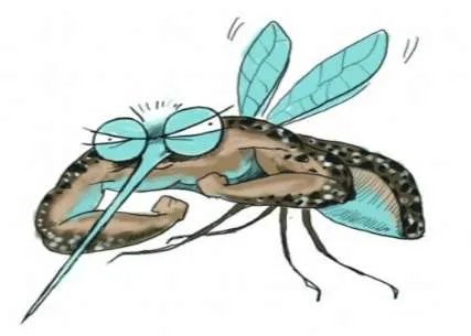 2018年立秋是几点几分?今年立秋具体时间是什么时候?