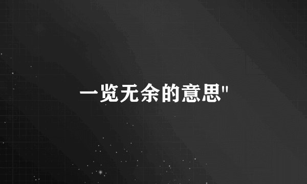 一览无余的意思