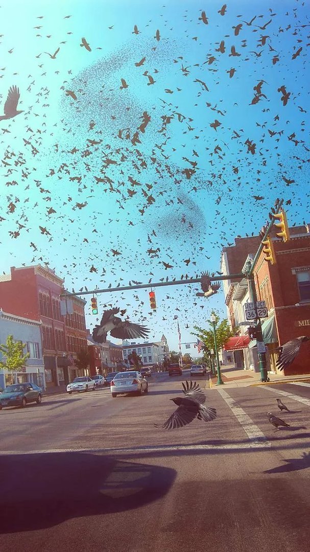 唯美图片伤感图片?