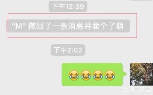 微信里的“XXX撤回一条消息并亲了你一下”是怎么做到的?