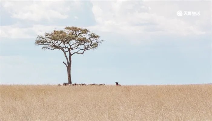 不毛之地是什么意思