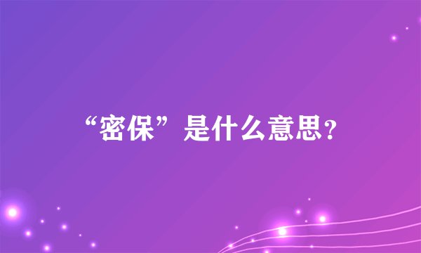 “密保”是什么意思？