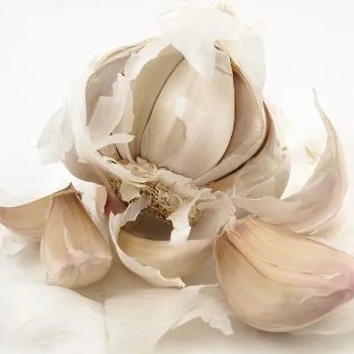 莴笋叶子能吃吗