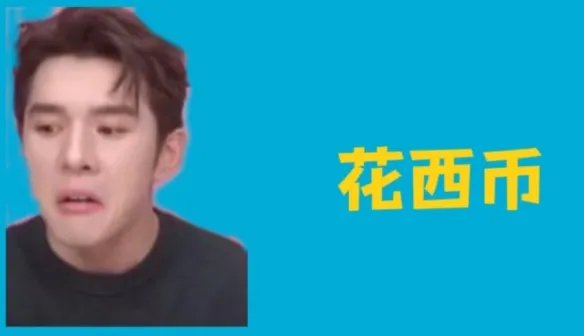 花西币是什么 一花西币是多少钱