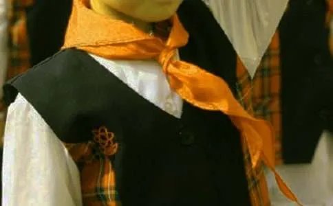 我爱红领巾优秀作文