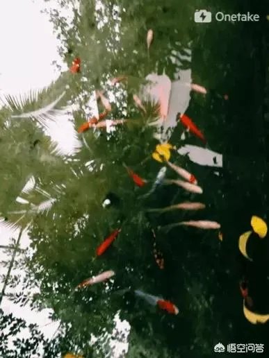 3月份国内有哪些适合旅游的地方?