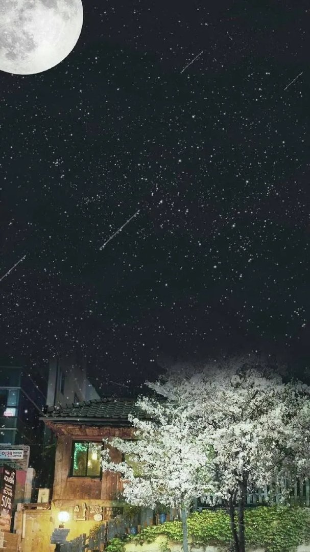 唯美图片伤感图片?