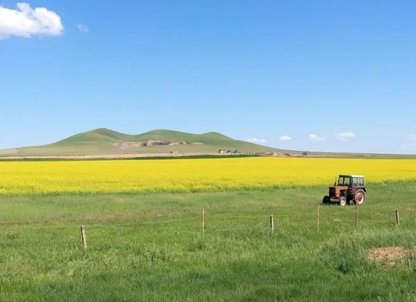 内蒙古自曝家丑