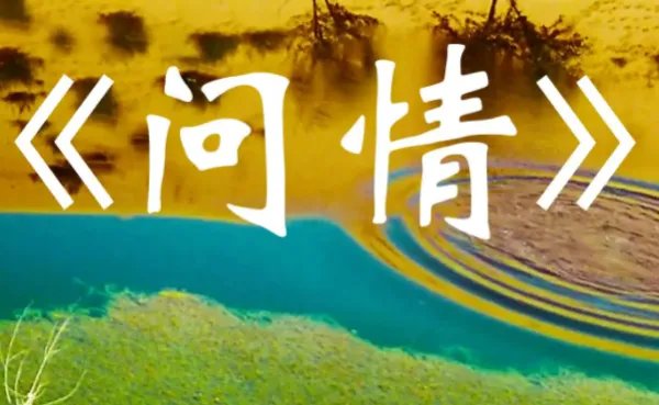 好听的电视剧歌曲大全100首