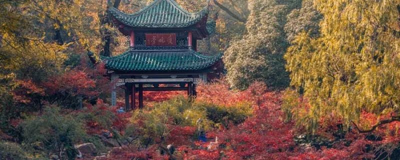 秋天的声音有哪些 描写秋天的声音有哪些