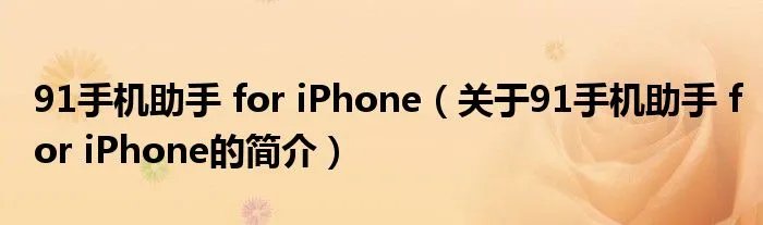 91手机助手 for iPhone（关于91手机助手 for iPhone的简介）