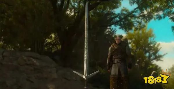 巫师3命运之人怎么做 巫师3命运之人任务攻略