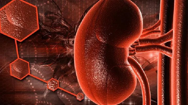 尿毒症的病因有哪些