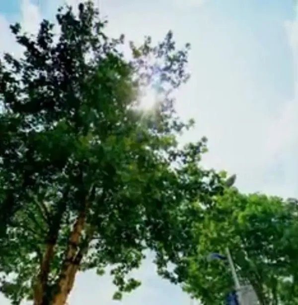 青岛工学院怎么样，好吗？