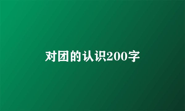 对团的认识200字