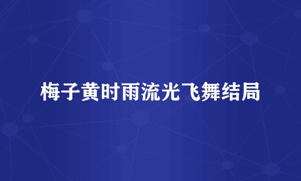 梅子黄时雨流光飞舞结局