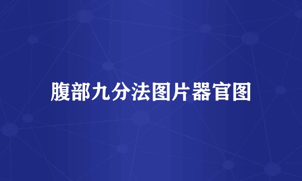 腹部九分法图片器官图