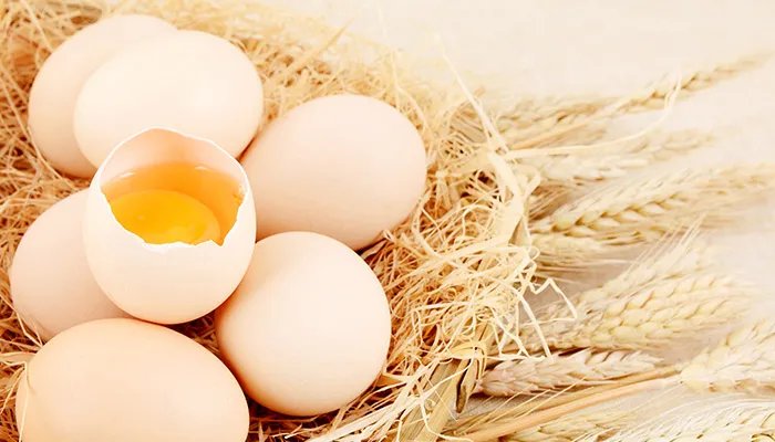 一个鸡蛋有多重 一个鸡蛋的重量