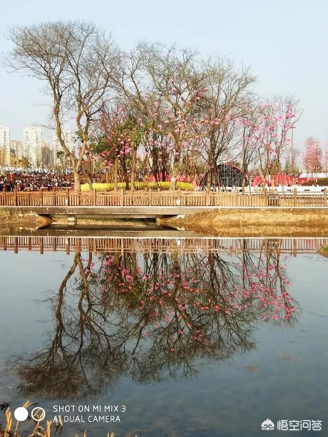 南充哪些景点最好玩?