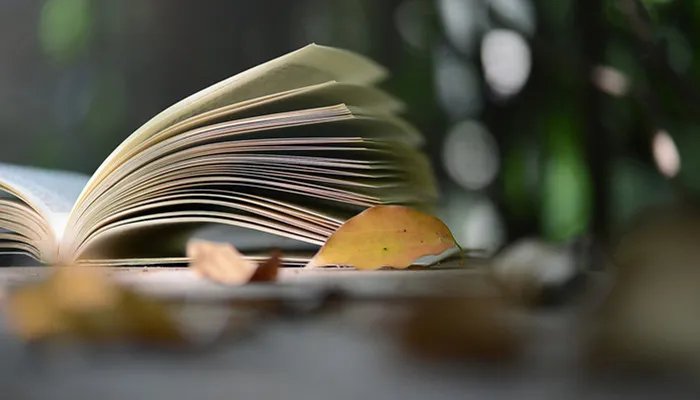 日月同辉的意思