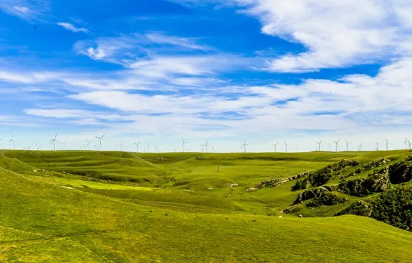 内蒙古自曝家丑