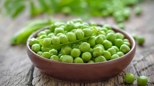 请问香砂养胃汤怎么做?香砂养胃汤的作用是什么？