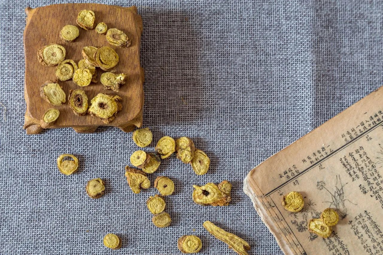 野生黄芩图片大全