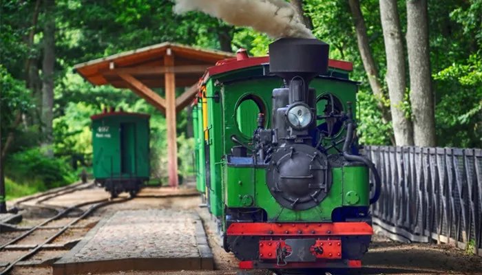 瓦特发明了什么 瓦特有什么发明