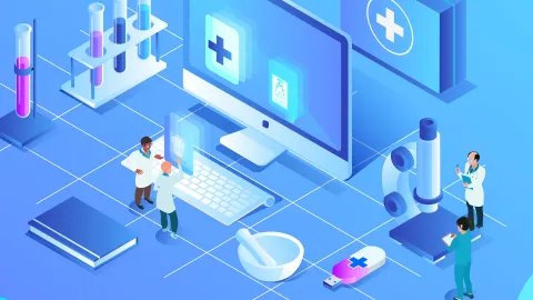 雪梨的功效与作用