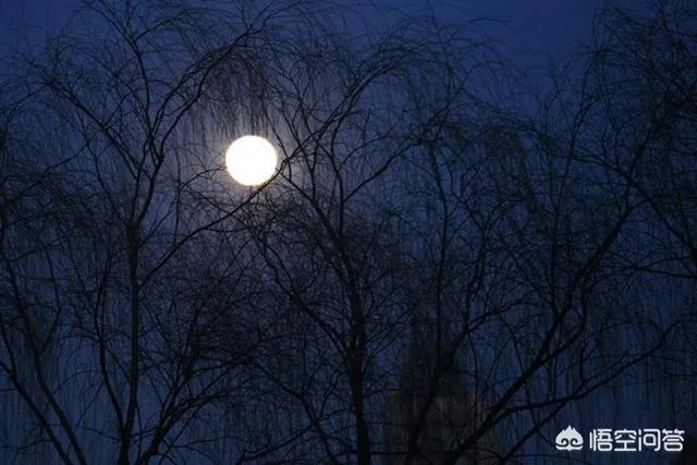 月上柳梢头人约黄昏后。写的是什么节日。