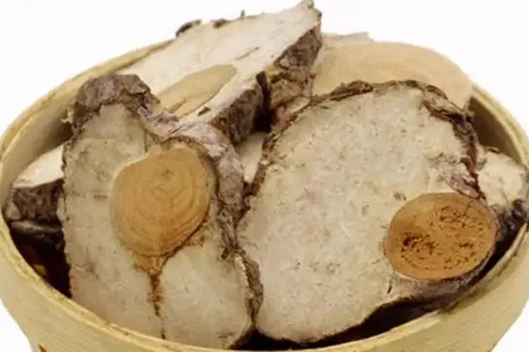 茯神图片及作用