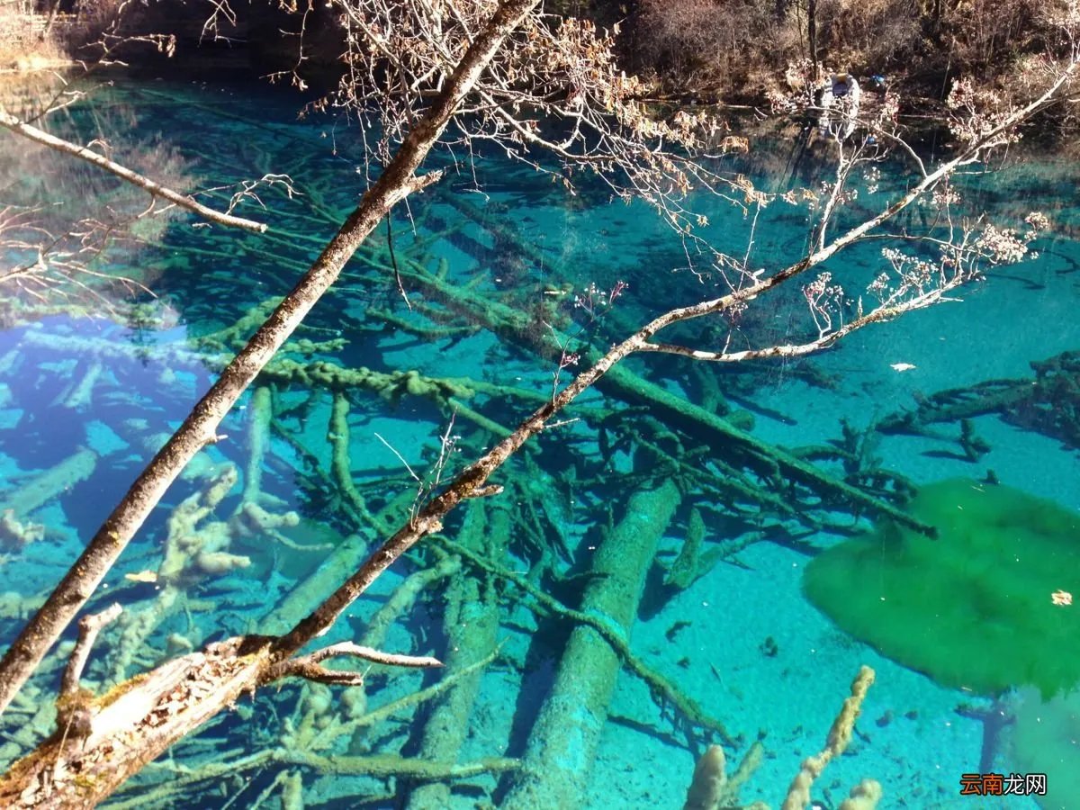 九寨沟淡季门票价格