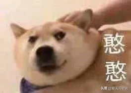 女生说4006是什么意思？