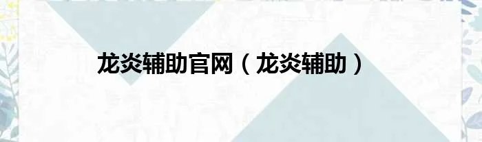 龙炎辅助官网（龙炎辅助）