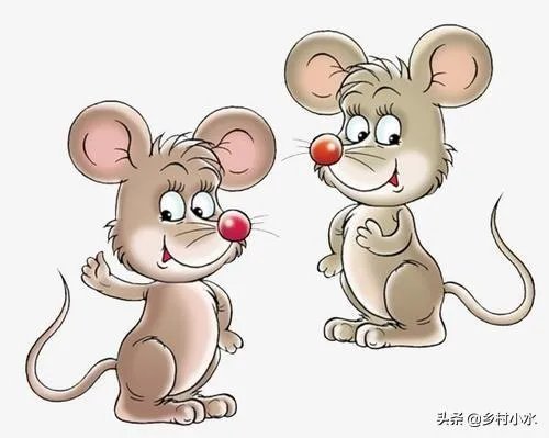 钱袋子代表什么意思