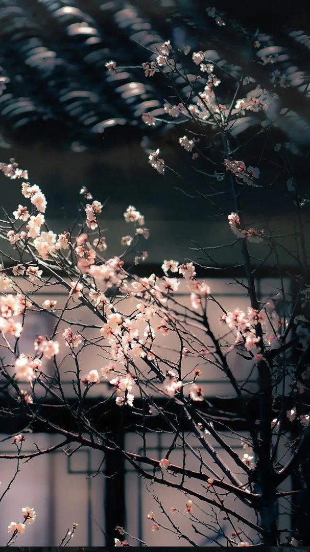 唯美图片伤感图片?