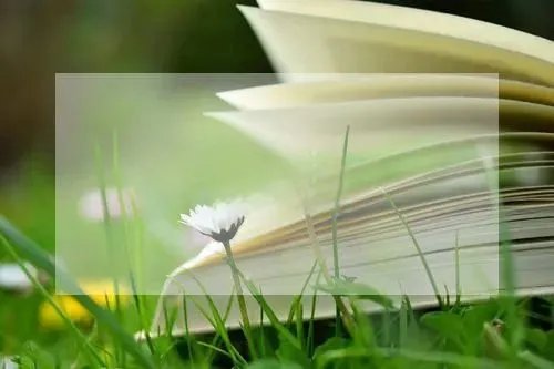 同学聚会的邀请函大全11篇