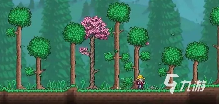 泰拉瑞亚国服多少钱 泰拉瑞亚售价一览