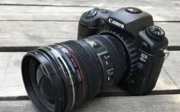 哪些生肖的配对离婚率奇高的