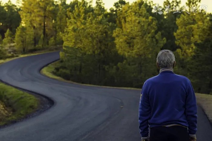阴阳眼狗能养吗