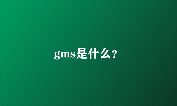 gms是什么？