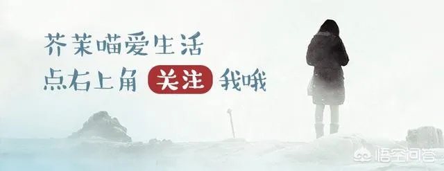 浦东机场附近到哪个地方找酒店比较合适?