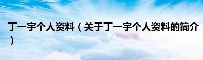 丁一宇个人资料（关于丁一宇个人资料的简介）