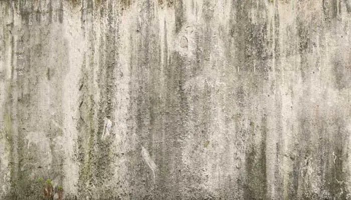 石灰乳是什么 石灰乳的特点