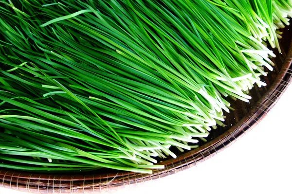 韭黄搭配什么菜炒好