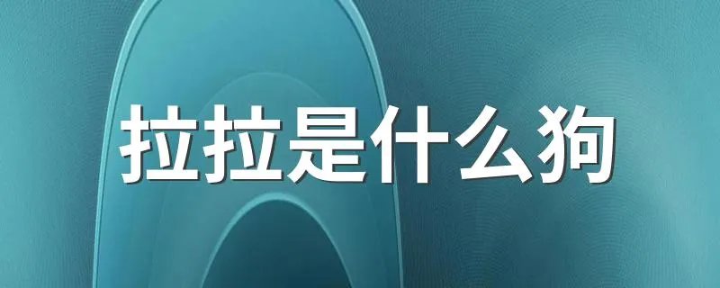 拉拉是什么狗 拉拉是什么犬类